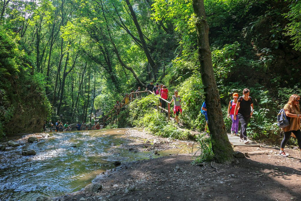 Trees and running water make this path ideal for hot summer days