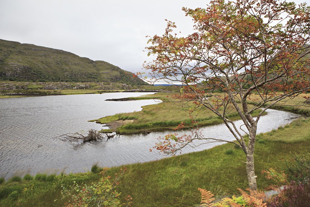 Upper Lake