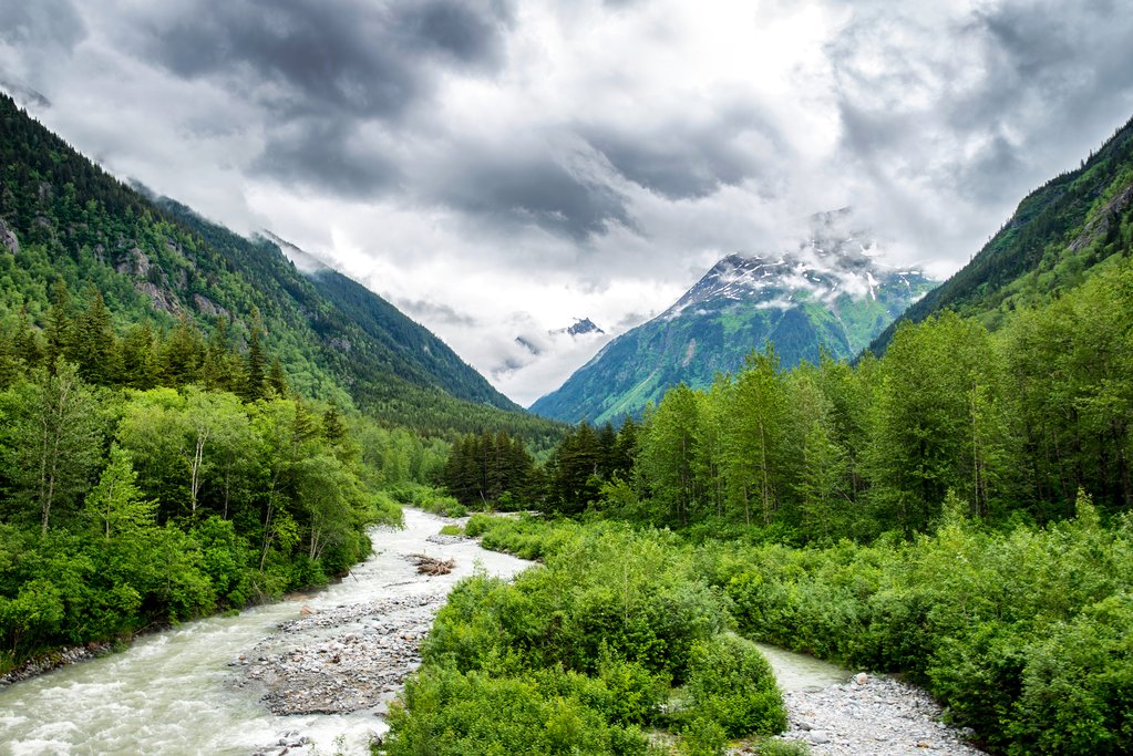 Summer scenery near Kluane National Park