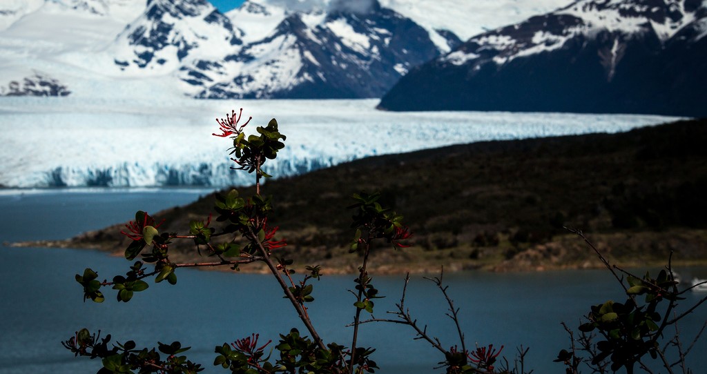Torres del Paine is breathtaking, but be forewarned: once you visit, you may never want to leave.