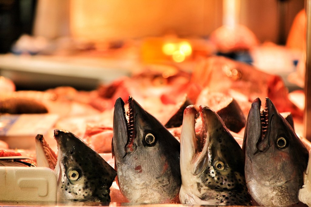 Fresh fish for sale in Cartagena