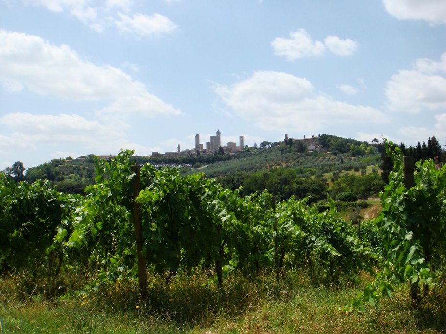 Montalcino