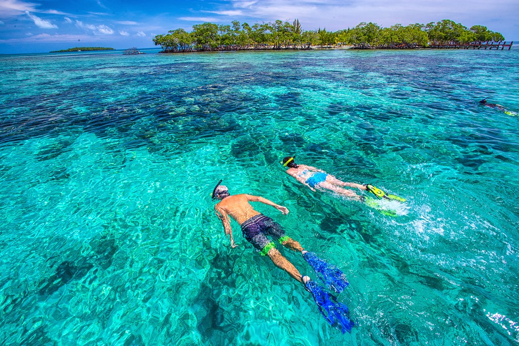 Snorkel Bread & Butter Caye