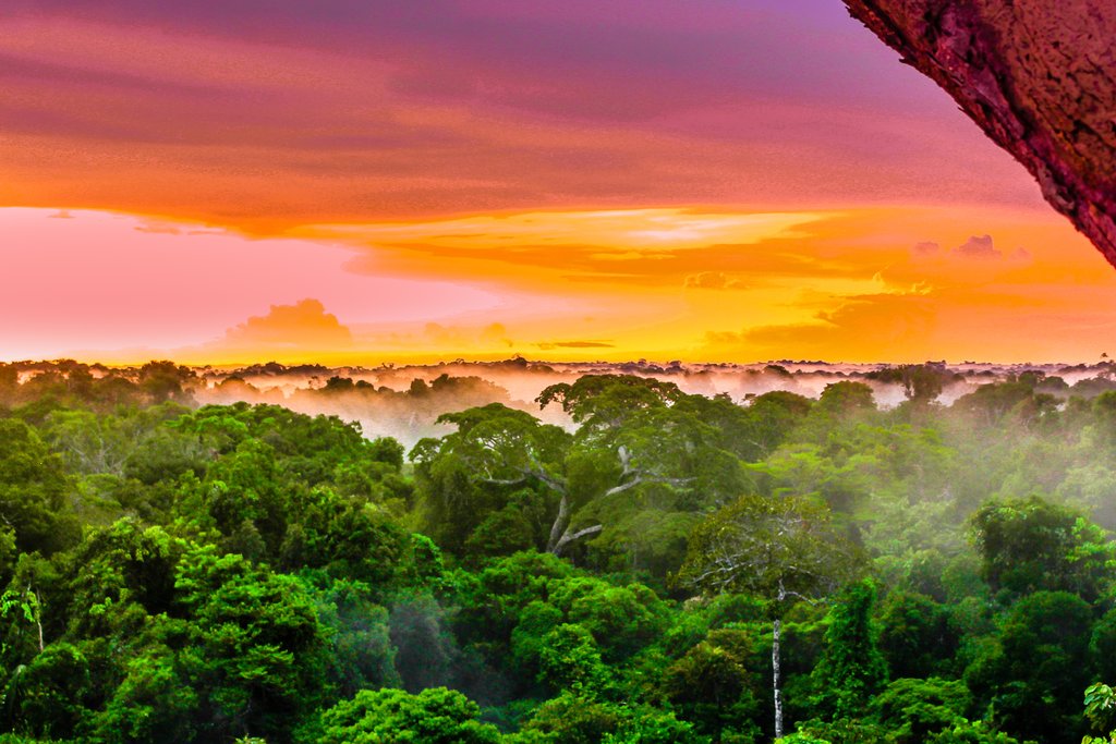 Araracuara Canyon is located in the Amazon rainforest
