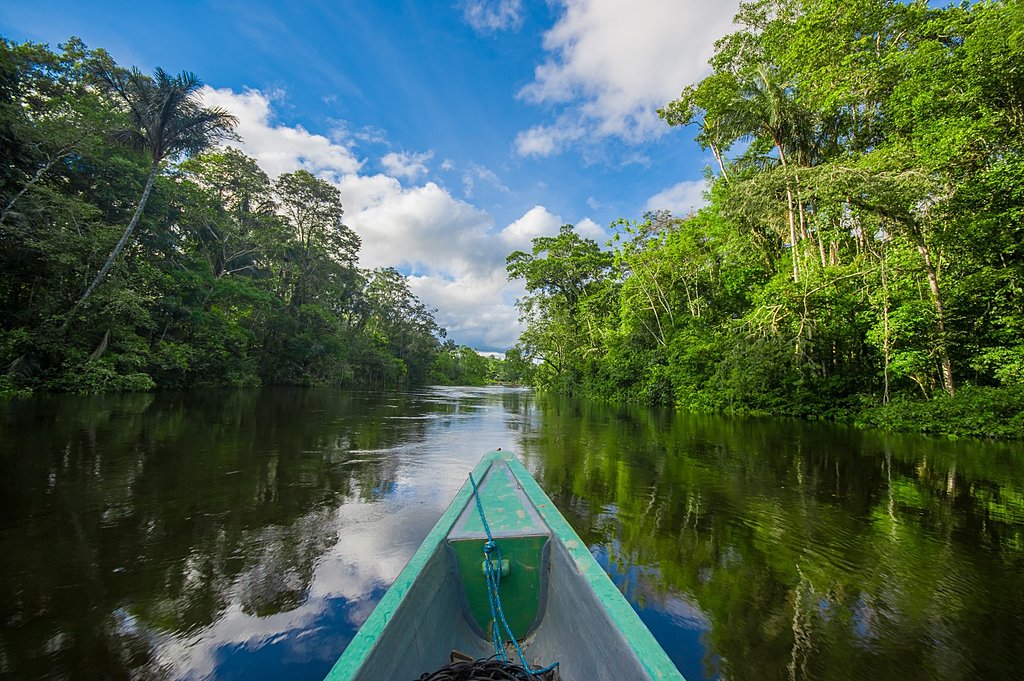 Farewell Yasuni National Park- Private Transfer to Coca for your Flight Back to Quito