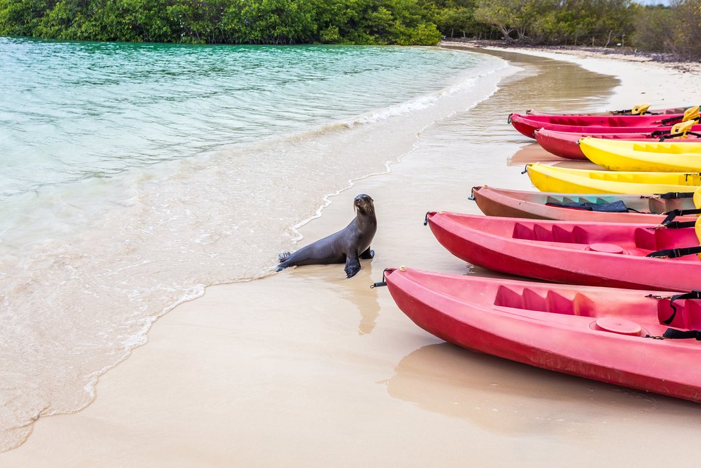 Kayaking is a great way to explore the bays and covers on the Galapagos.