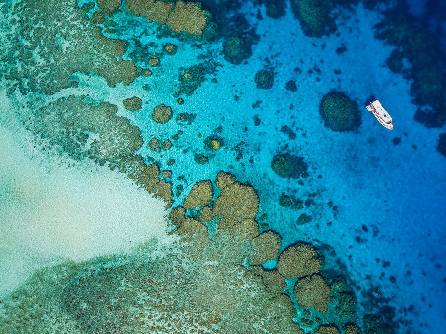 Take a boat trip out to the Great Barrier Reef