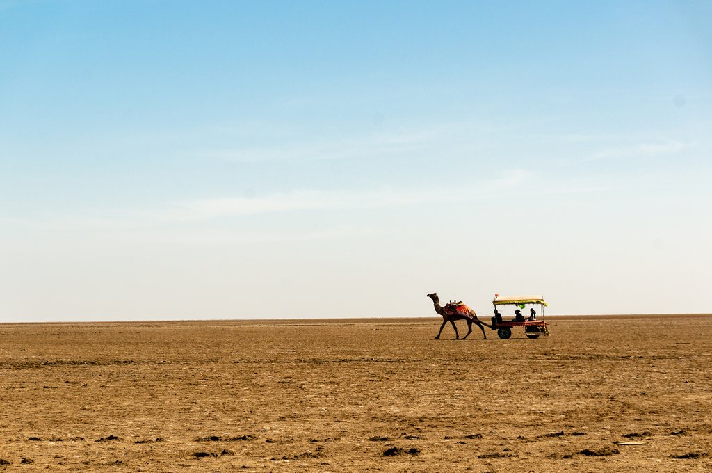 Rann of Kutch