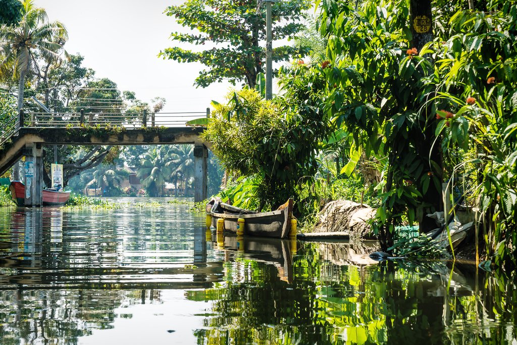 Alleppey backwaters