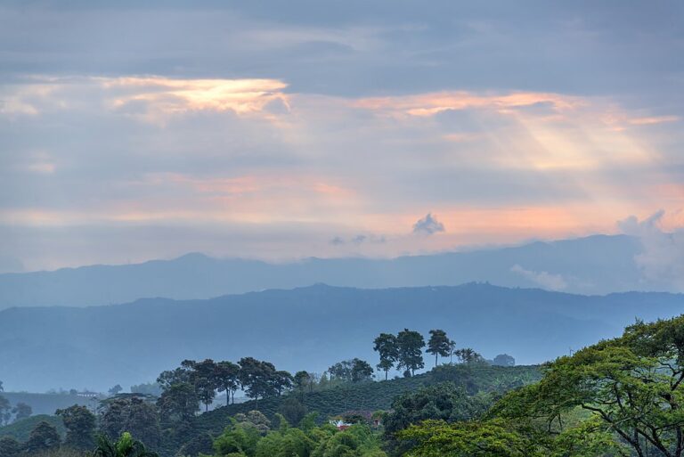 Bogotá, Cocora Valley, Medellín, and Cartagena - 9 days