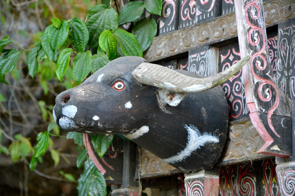Icon at the Animal Market