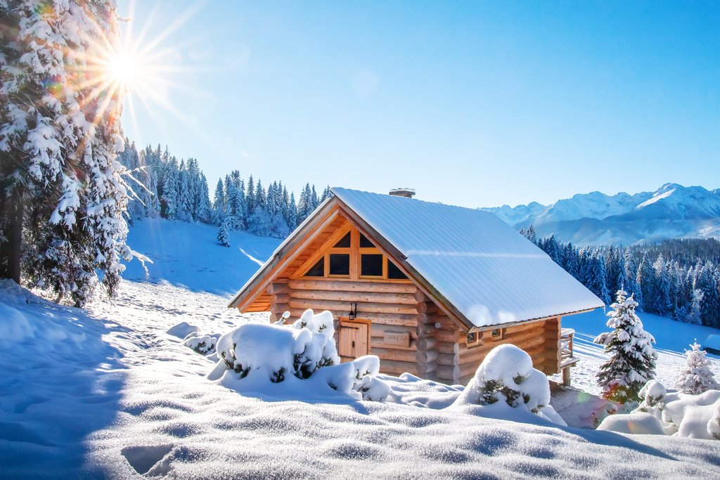 Wintertime in the Alps