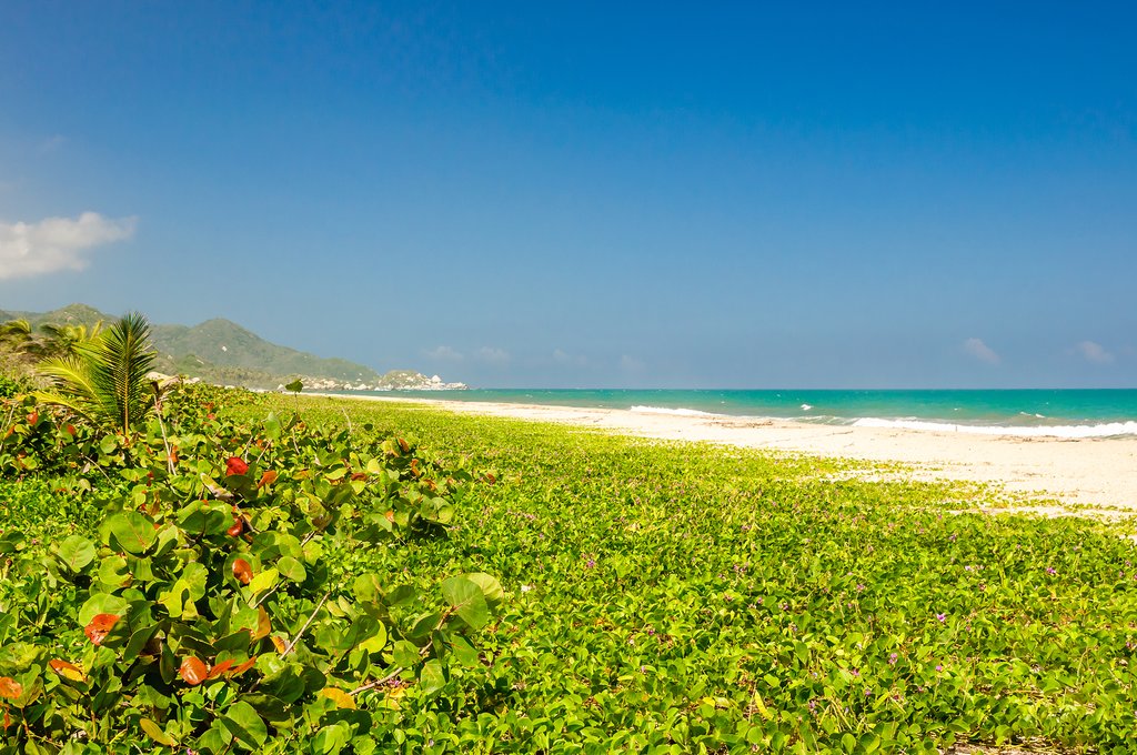 Frolic on white-sand beaches in and around Tayrona Park.