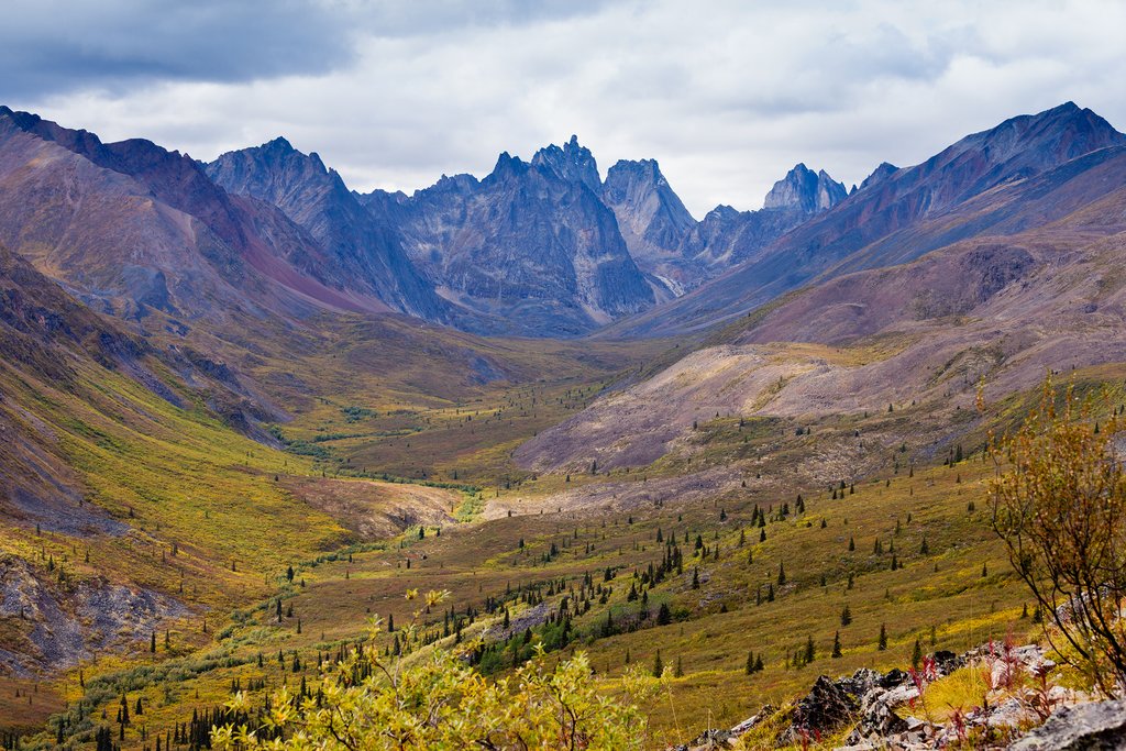 Tombstone Territorial park