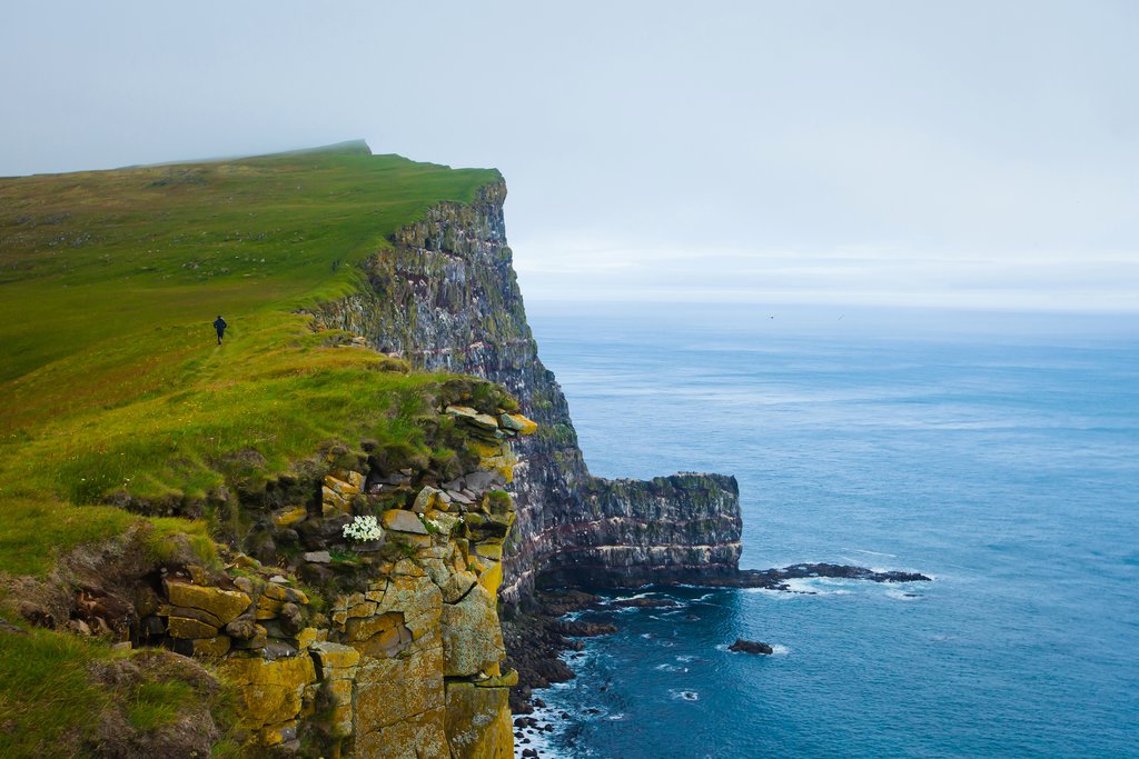 Hike along the Látrabjarg Bird Cliffs