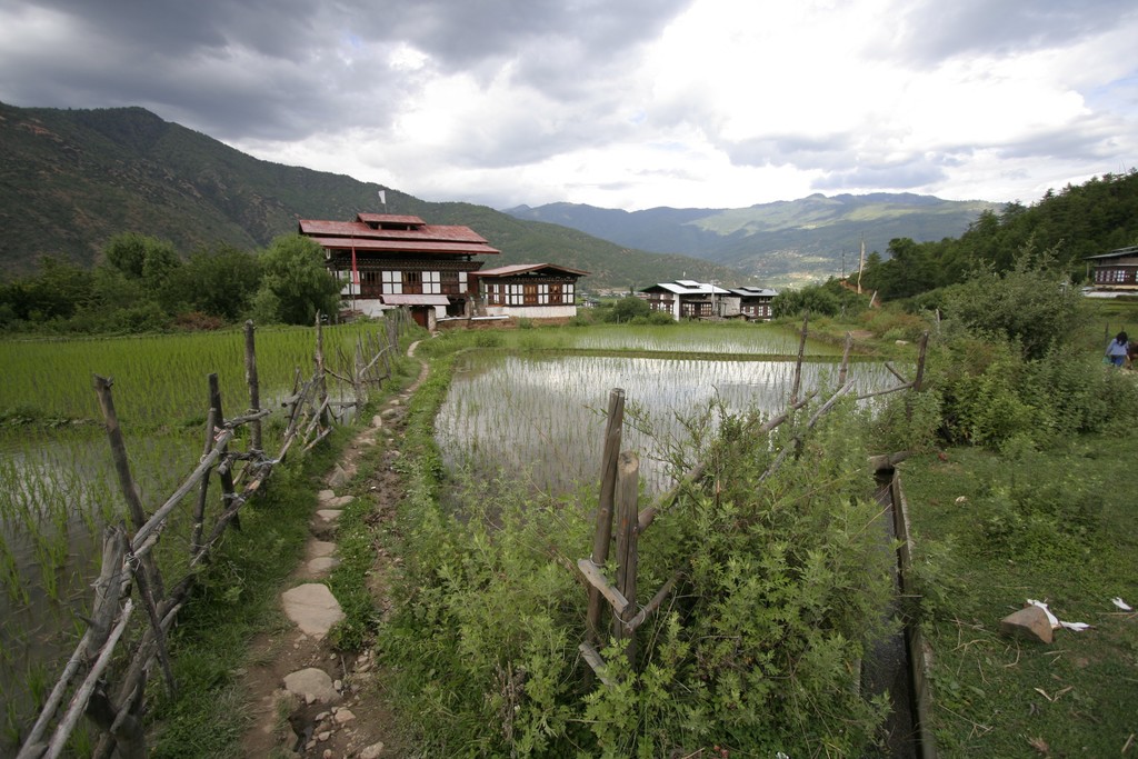 Local farm in the Paro Valley
