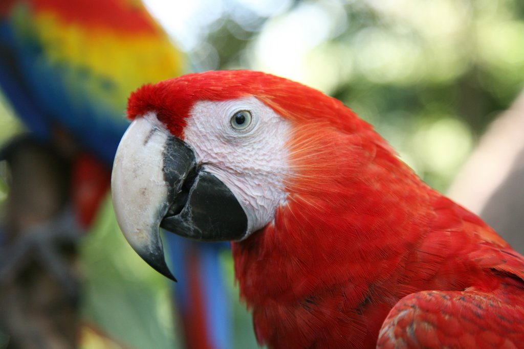 Farewell, Costa Rica!
