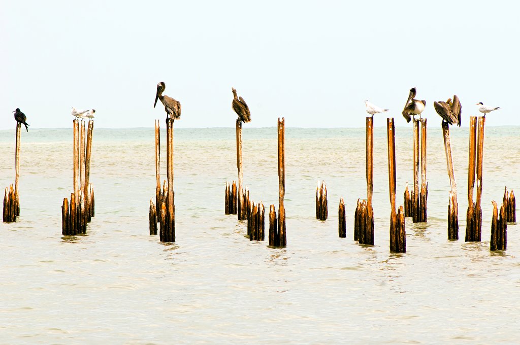 Deserted docks in Cahuita National Park