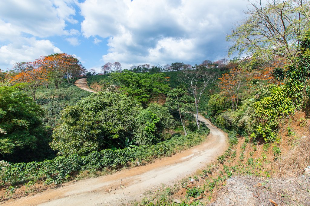 Pedal down Costa Rica's country roads on a bike tour