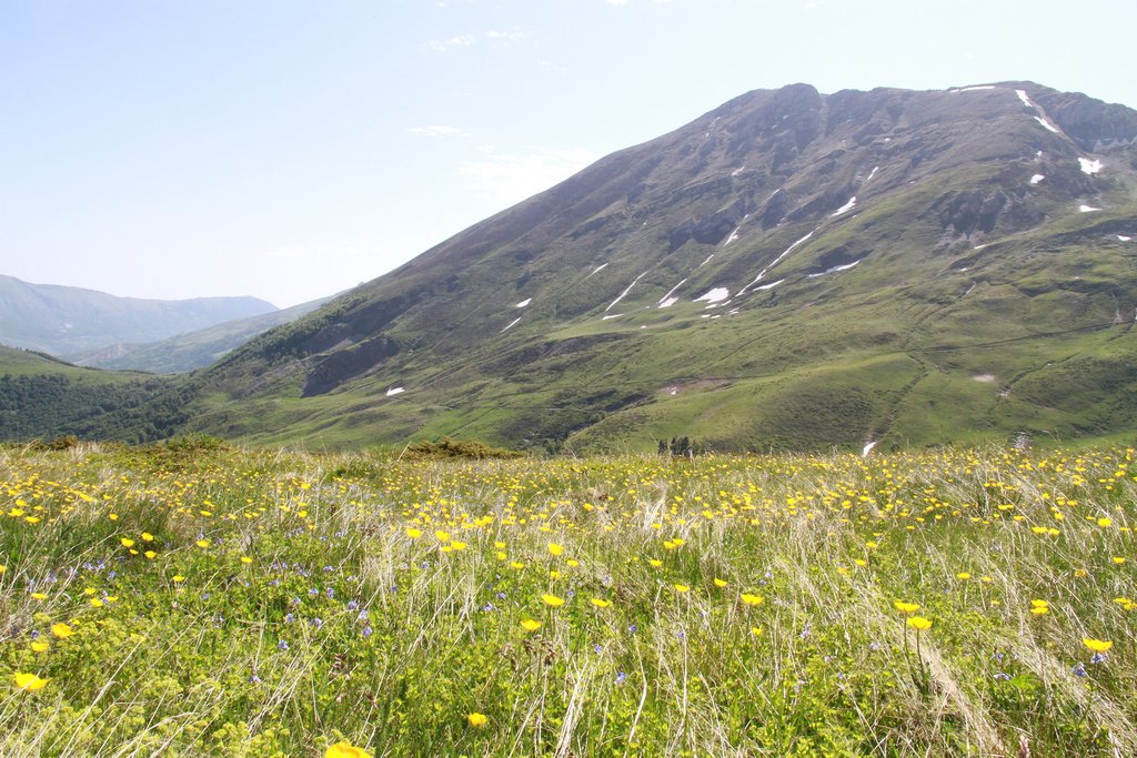 Sharr mountains to the east