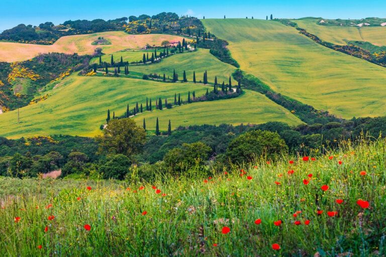Cycling and Food Tour of Tuscany: Alba, Asti, Pienza, & Montepulciano - 8 Days
