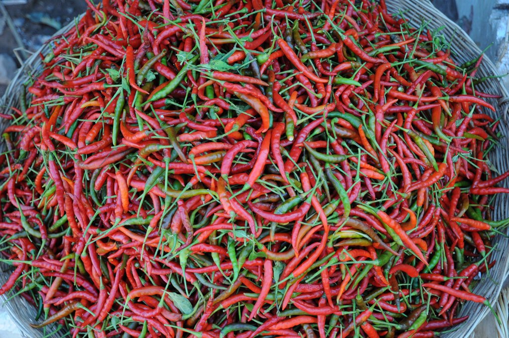 Learn about traditional Cambodian ingredients on a Food Tour in Siem Reap
