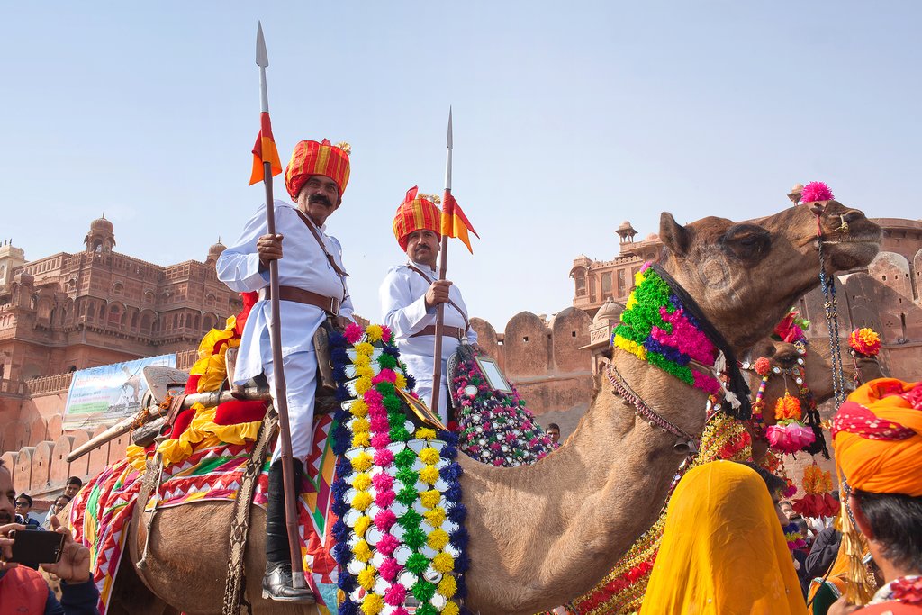 Go on a half-day camel safari through the Thar Desert