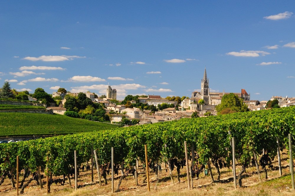 Vineyards surrounding Saint Emilion