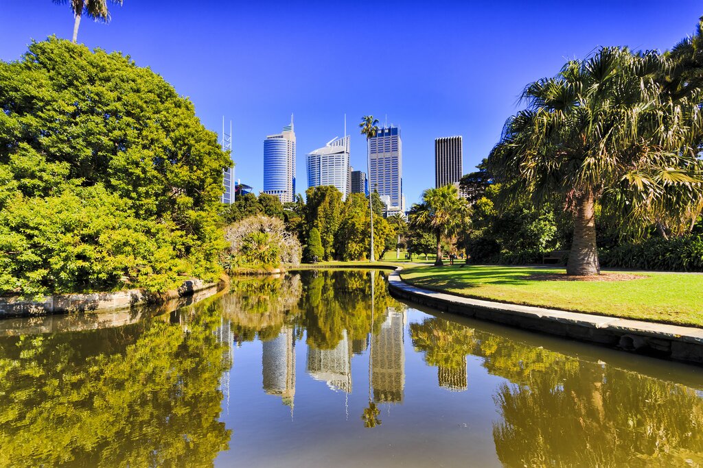 Sydney's Royal Botanic Garden