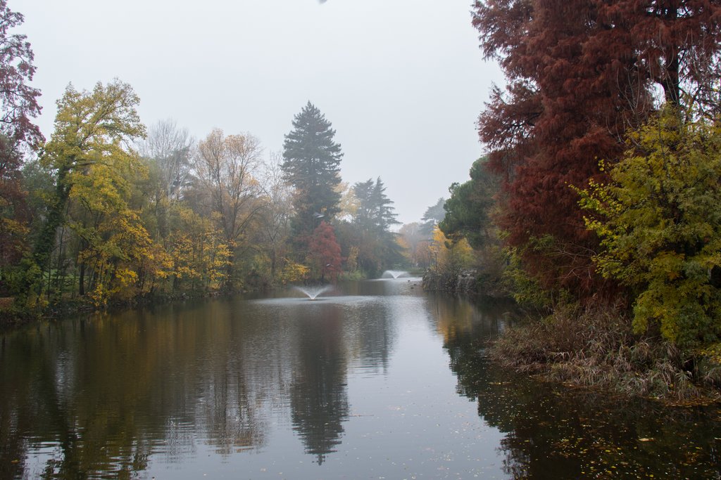 Misty Giardini Margherita in autumn