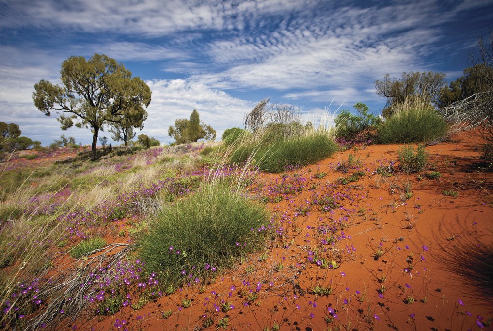 Experience the changing landscapes as you head north