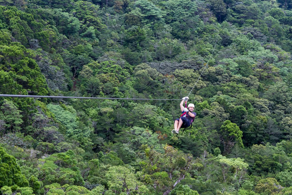 Soar over the tree tops on a canopy tour
