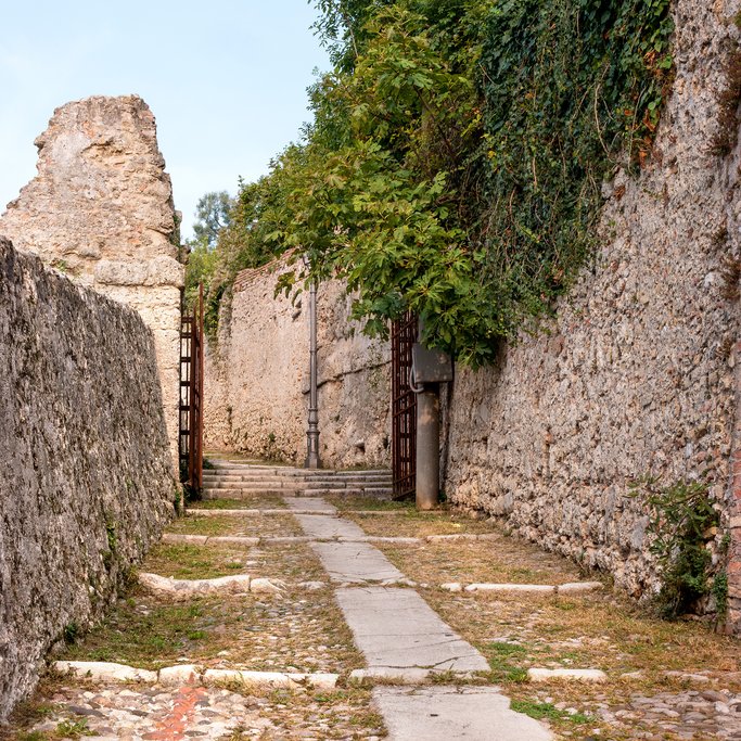 Road to the Canegliano castle