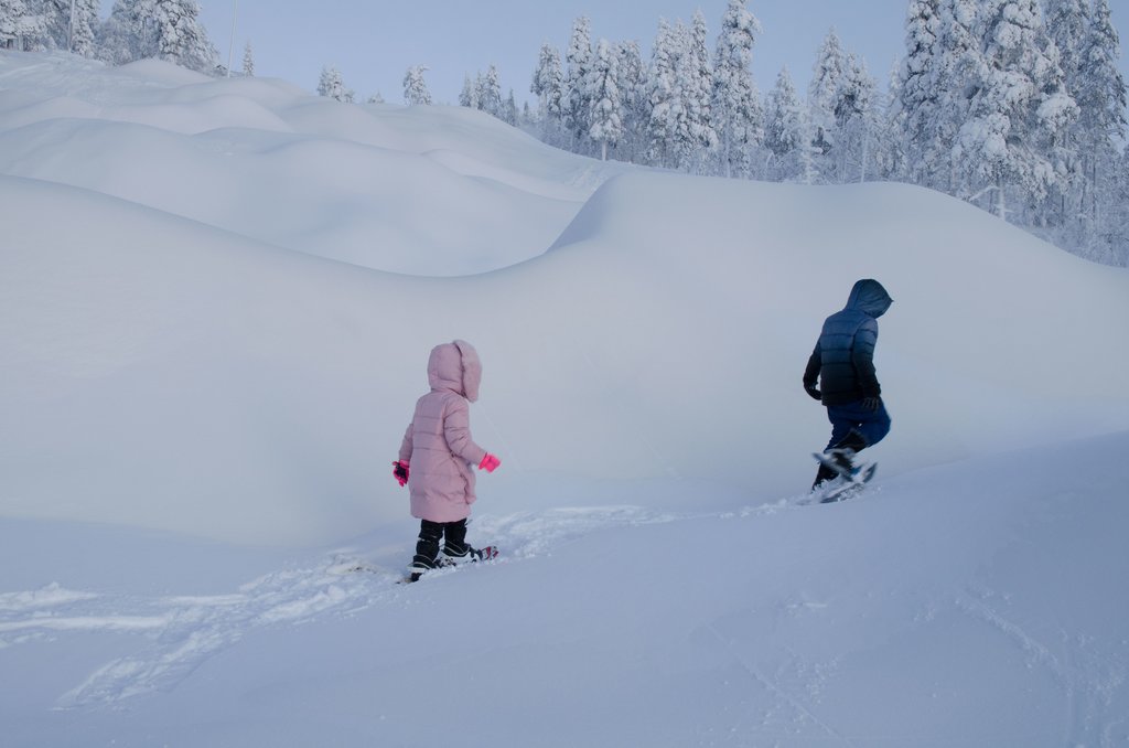 Snowshoeing in Rovaniemi