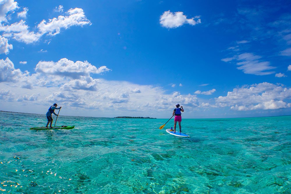 Paddleboard on Glover's Reef