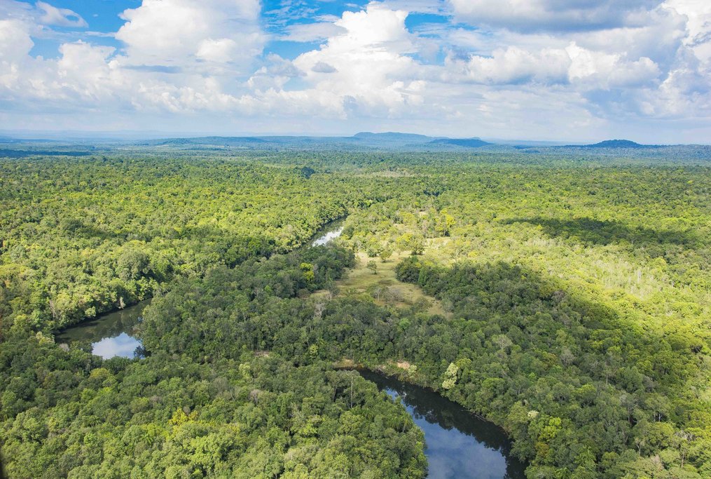 Explore the lush jungle around our luxury camp in Botum Sakor NP