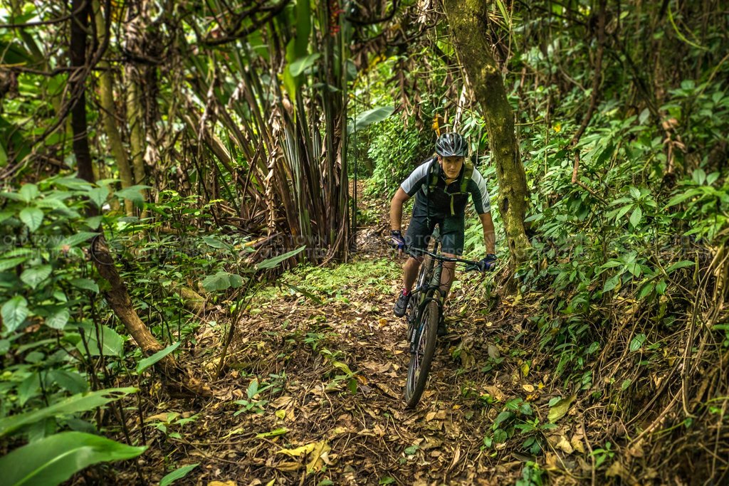 El Zur trails