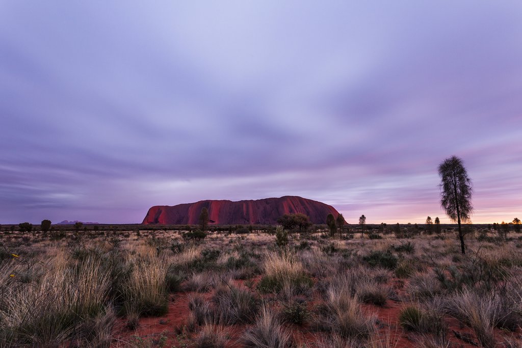 Uluru at sunset