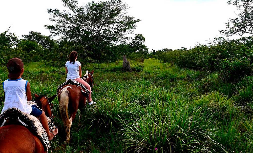 Horseback riding through the Pantanal