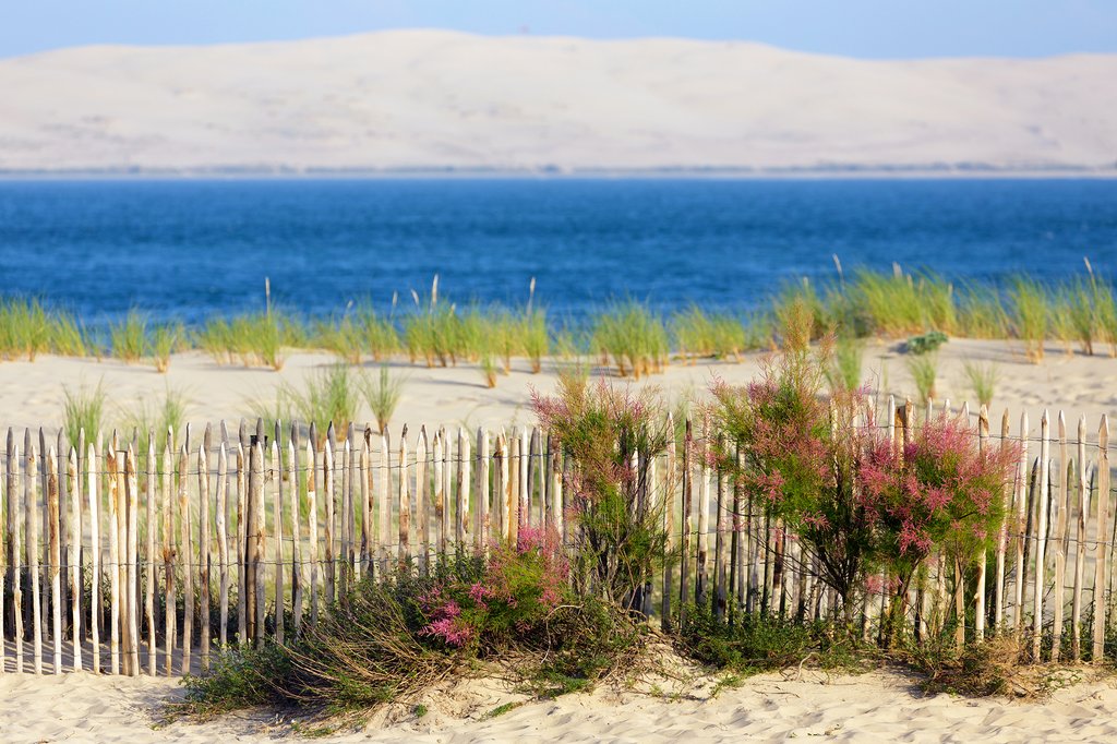 Spend some time at the beach in the Bay of Arcachon