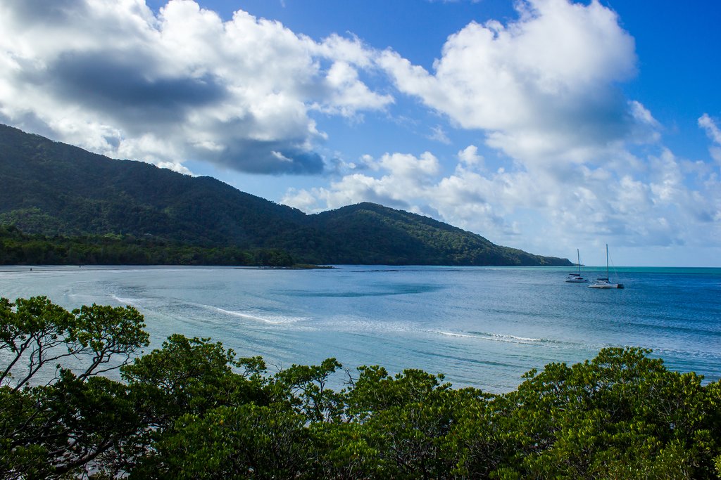 Daintree Rainforest