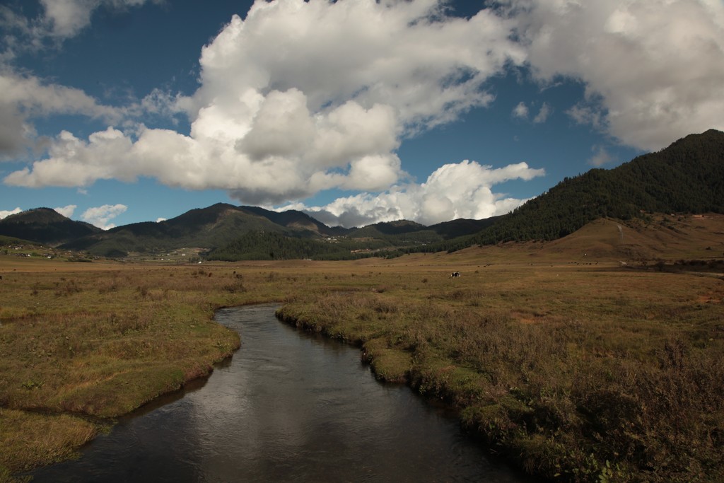 The peaceful marshlands of Phobjikha Valley