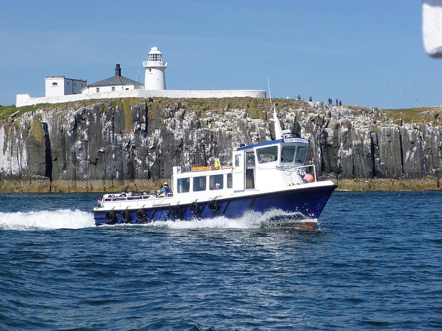 Farne Island Boat Tour