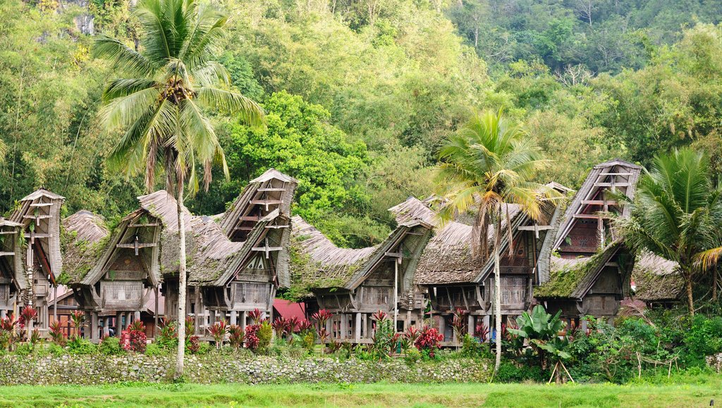 Complex of old Tongkonan