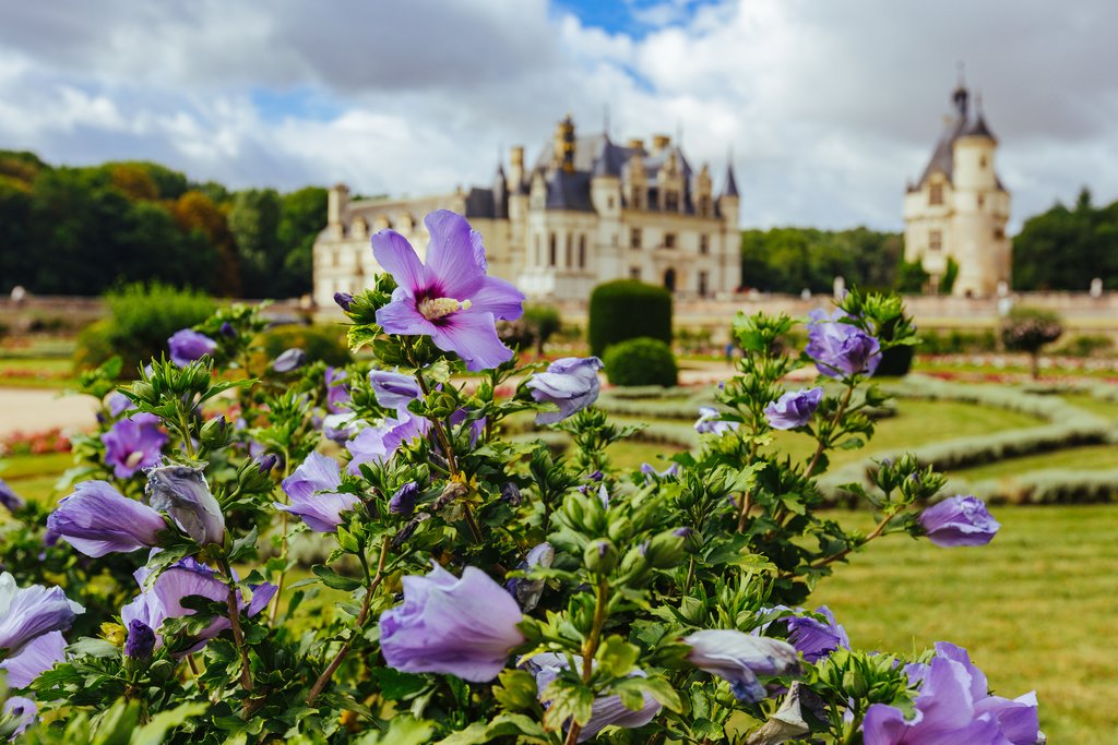 Chenonceau castle and grounds