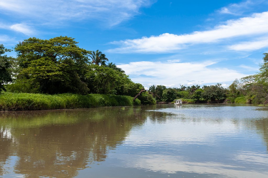 The Sarapiqui River