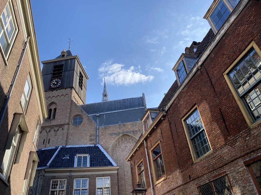 Leiden city walk with art historian
