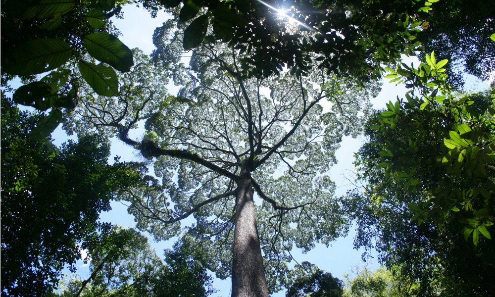 Say farewell to beautiful North Sumatra