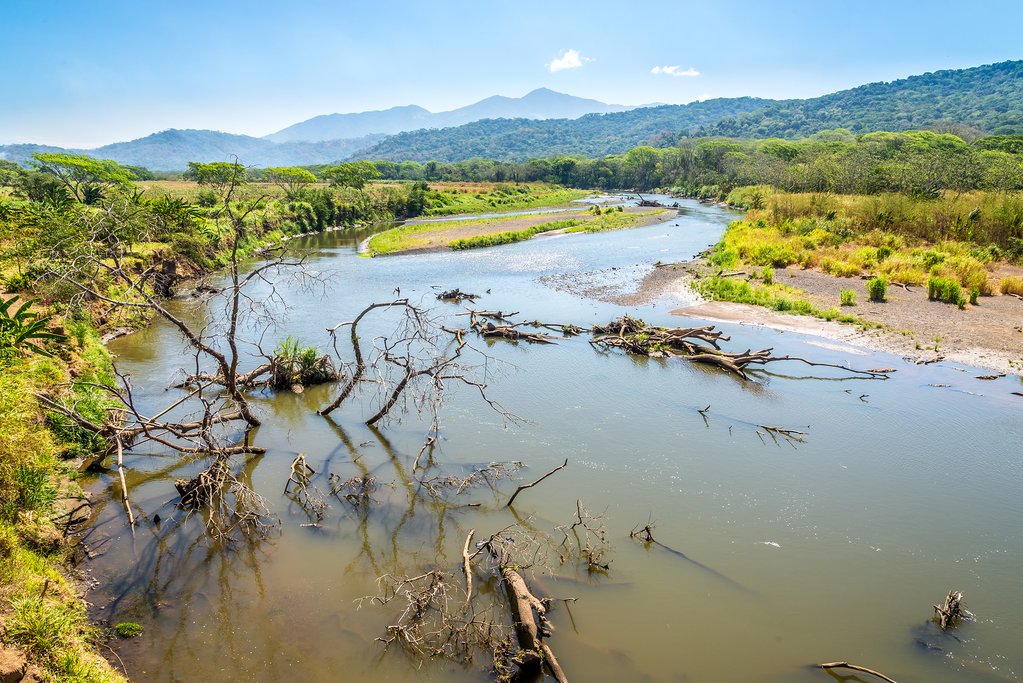 Spot crocodiles from the bridge along the Tárcoles River