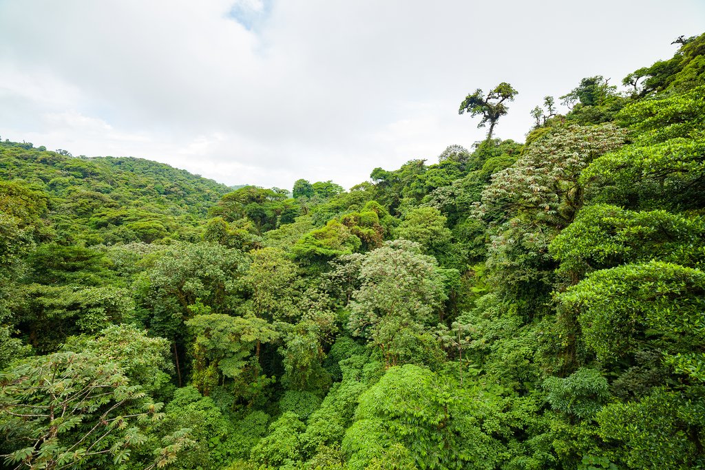 Zip-lining in Monteverde
